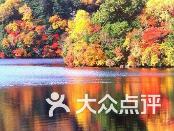 奇特的方块世界